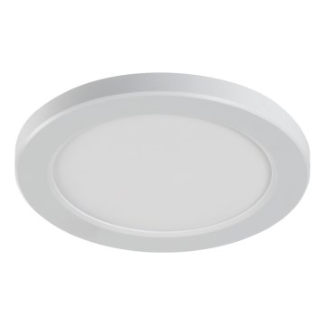 LED griestu/iebūvējams gaismeklis 2 vienā ERGA LED/17W/230V 3000/4000/6500K balts