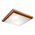 LED Griestu lampa 1xLED/24W/230V dižskābardis