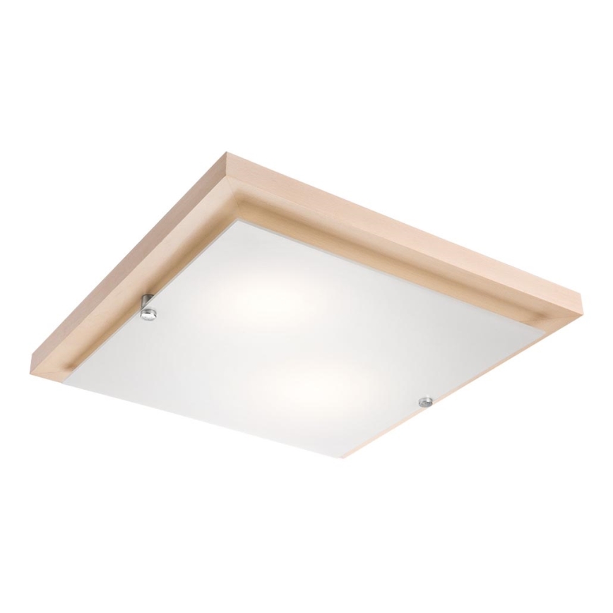 LED Griestu lampa 1xLED/24W/230V dižskābardis
