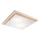 LED Griestu lampa 1xLED/24W/230V dižskābardis
