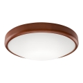 LED Griestu lampa 1xLED/24W/230V