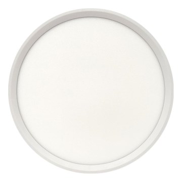 LED griestu lampa, 24 W, 230 V, 3000/4000/6500 K, Ø 30 cm, balta