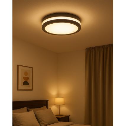 LED vannas istabas griestu gaismeklis ar kustības sensoru LED/20W/230V 3000/4000/6500K Ø 23 cm IP54 antracīts
