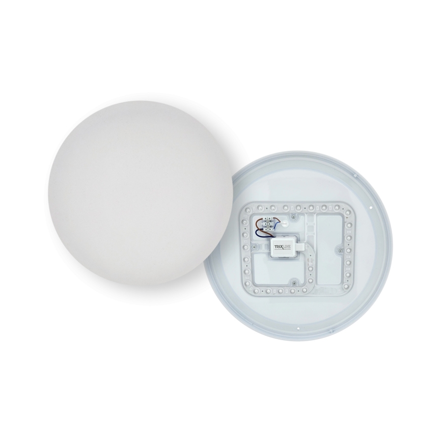 LED griestu lampa ar kustības sensoru LENA LED/24W/230V pr. 37,3 cm balta