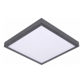 LED griestu lampa ar kustības un krēslas sensoru VITALI LED/24W/230V 4000K 33x33 cm, antracīts