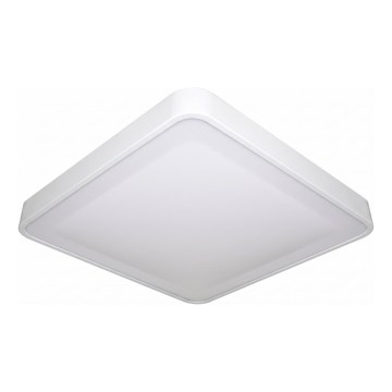 LED griestu lampa ar kustības un krēslas sensoru WILTON LED/24W/230V 4000K 33x33 cm balta