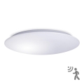 LED Griestu lampa ar sensoru AVESTA LED/45W/230V IP54