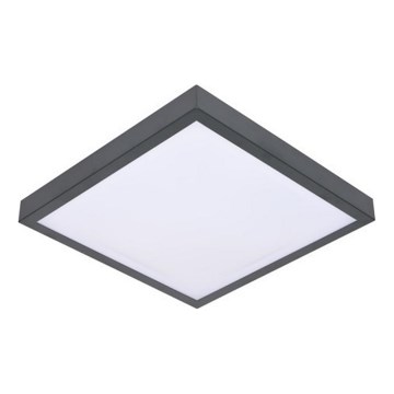 LED Griestu lampa ar sensoru VITALI LED/24W/230V 4000K