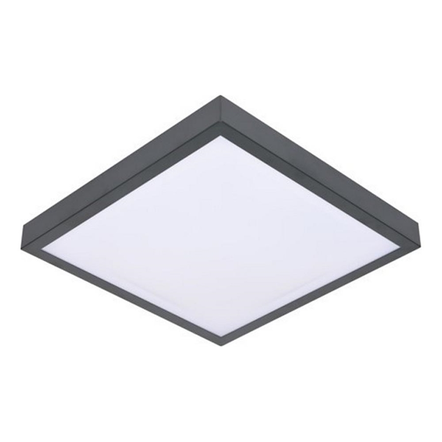 LED Griestu lampa ar sensoru VITALI LED/24W/230V 4000K