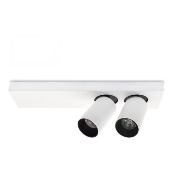 LED griestu lampa BERGEN 2xLED/11W/230V