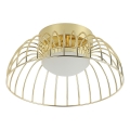 LED griestu lampa BETSY LED/12W/230V diametrs 25 cm zelta