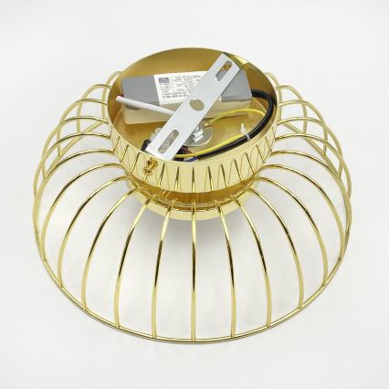 LED griestu lampa BETSY LED/12W/230V Ø 25 cm zelta