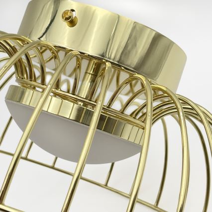 LED griestu lampa BETSY LED/12W/230V Ø 25 cm zelta