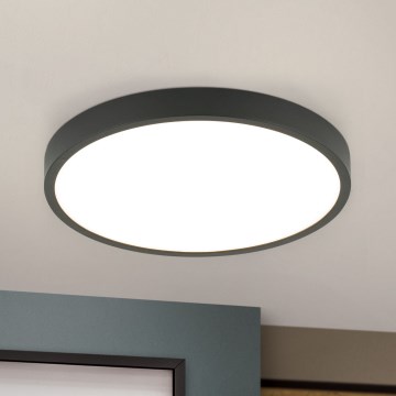 LED Griestu lampa BULLY LED/24W/230V d. 24 cm melna