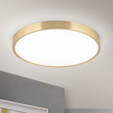 LED Griestu lampa BULLY LED/28W/230V d. 28 cm zelta