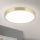 LED Griestu lampa BULLY LED/28W/230V d. 28 cm zelta