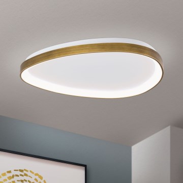 LED Griestu lampa CHARLIE LED/48W/230V d. 65 cm zelta