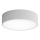 LED Griestu lampa CLEO LED/24W/230V 3000K d. 30 cm pelēka