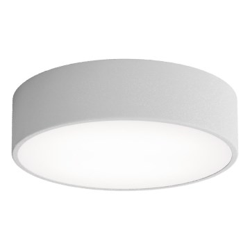 LED Griestu lampa CLEO LED/24W/230V 4000K d. 30 cm pelēka