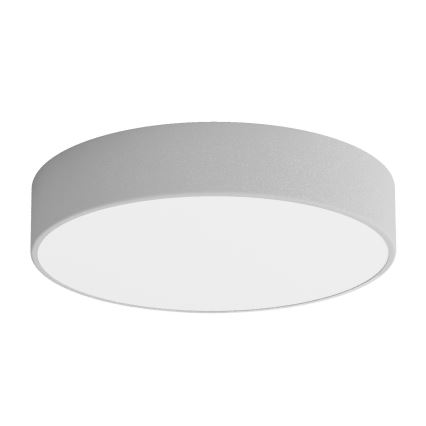 LED Griestu lampa CLEO LED/43W/230V 3000K d. 40 cm pelēka