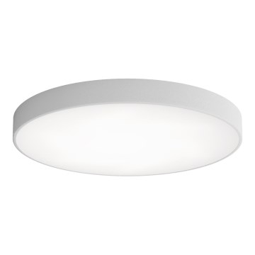 LED Griestu lampa CLEO LED/96W/230V 3000K d. 80 cm pelēka