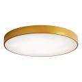 LED Griestu lampa CLEO LED/96W/230V 3000K d. 80 cm zelta