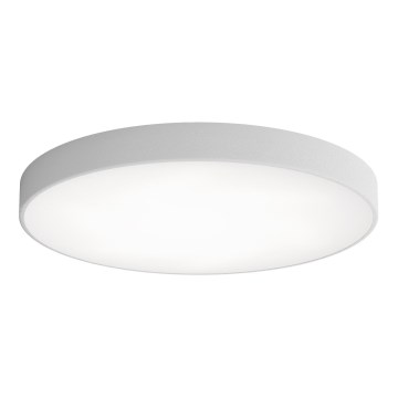 LED Griestu lampa CLEO LED/96W/230V 4000K d. 80 cm pelēka