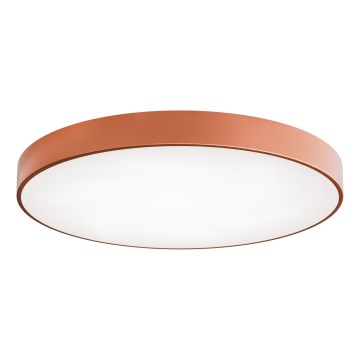 LED Griestu lampa CLEO LED/96W/230V 4000K d. 80 cm varš