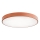 LED Griestu lampa CLEO LED/96W/230V 4000K d. 80 cm varš