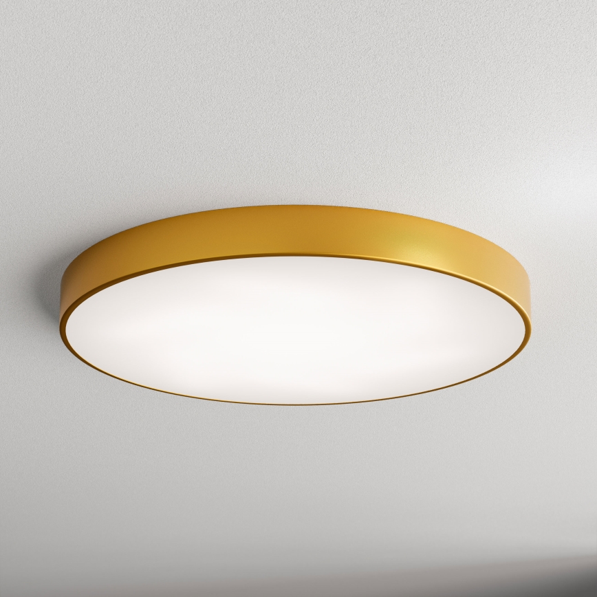 LED Griestu lampa CLEO LED/96W/230V 4000K d. 80 cm zelta