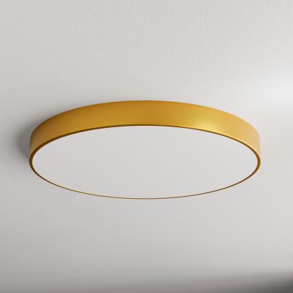 LED Griestu lampa CLEO LED/96W/230V 4000K d. 80 cm zelta
