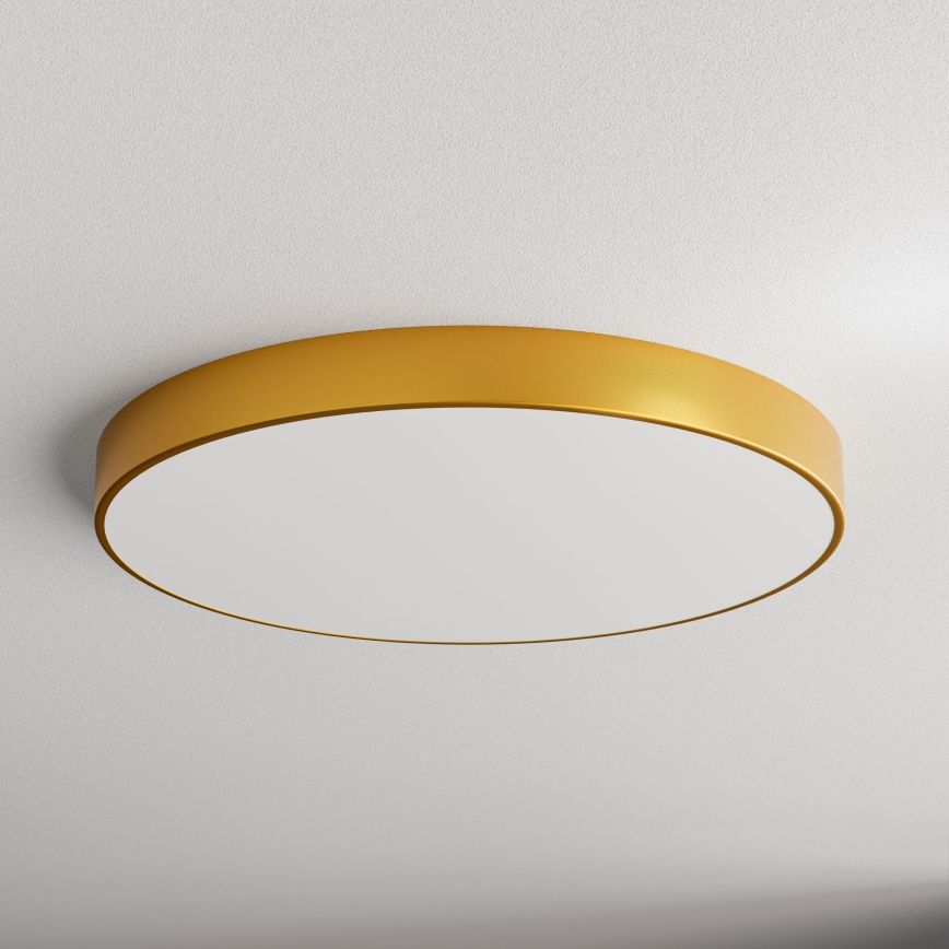 LED Griestu lampa CLEO LED/96W/230V 4000K d. 80 cm zelta