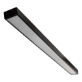 LED Griestu lampa CYNIDECO LED/45W/230V 4000K melna