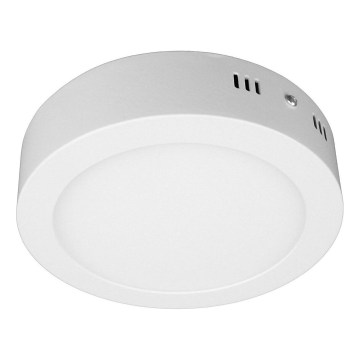 LED griestu lampa DIEGO LED/12W/230V 4000K IP40 Ø 16,5 cm balta