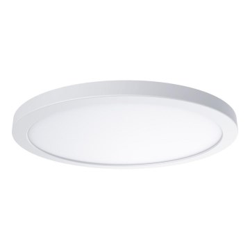 LED griestu lampa EVORA LED/18W/230V 3000/4000/6000K Ø 22,5 cm balta