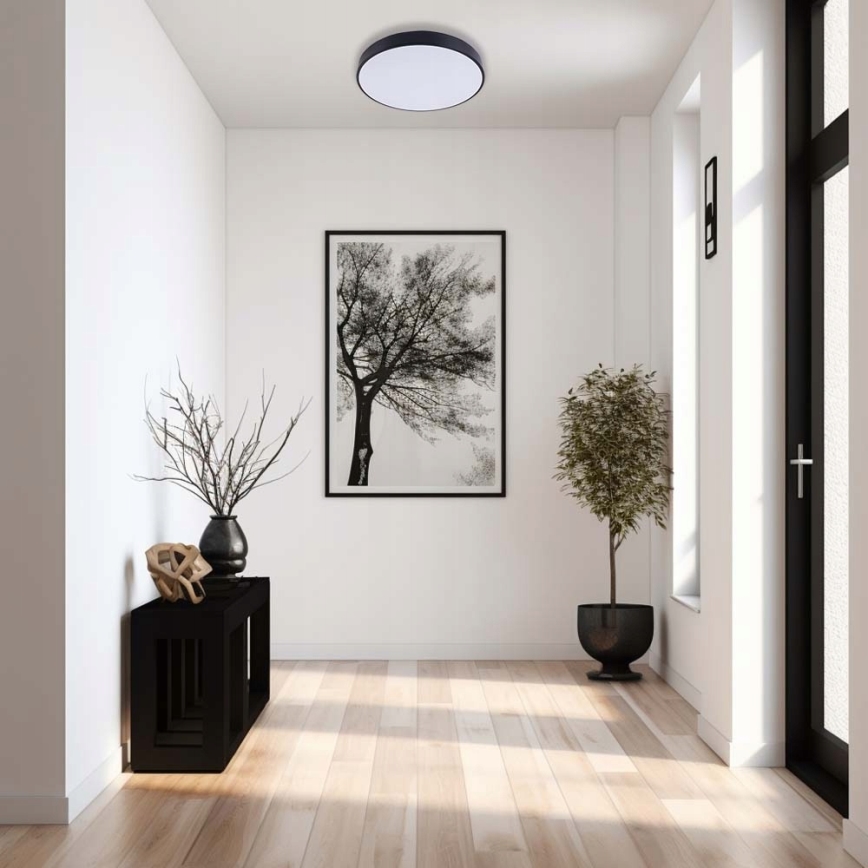 LED Griestu lampa FELIZ LED/30W/230V 4000K d. 30 cm melna