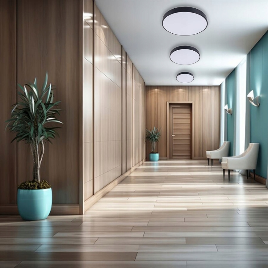 LED Griestu lampa FELIZ LED/30W/230V 4000K d. 30 cm melna