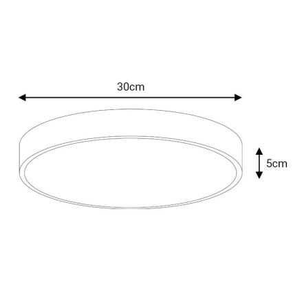 LED Griestu lampa FELIZ LED/30W/230V 4000K d. 30 cm melna