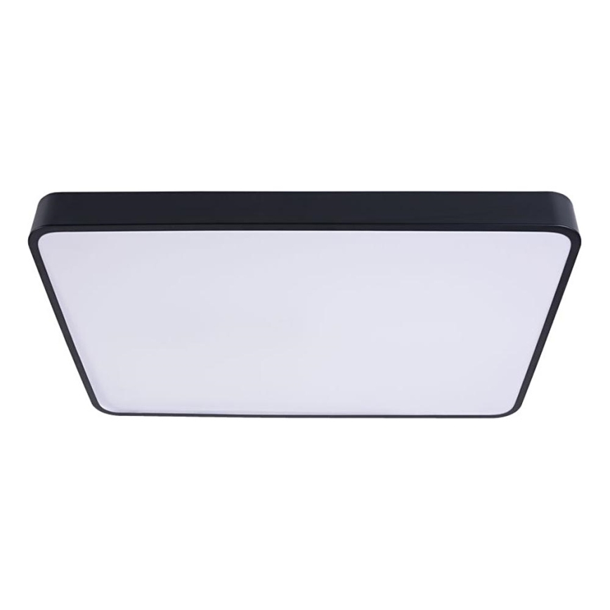 LED Griestu lampa FELIZ LED/40W/230V 4000K 40x40 cm melna