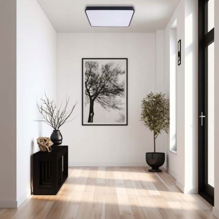 LED Griestu lampa FELIZ LED/40W/230V 4000K 40x40 cm melna