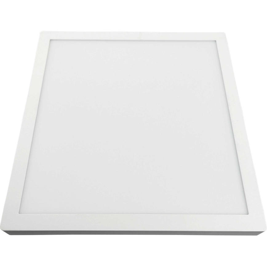 LED Griestu lampa FENIX LED/32W/230V 3800K 40 cm sniega balta