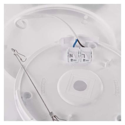 LED Griestu lampa FLORI LED/18W/230V 4000K melna 29x29 cm
