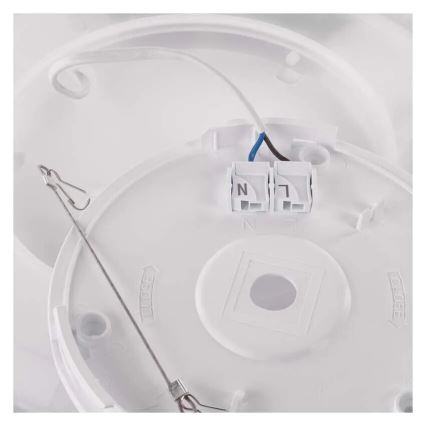 LED Griestu lampa FLORI LED/18W/230V 4000K melna d. 29 cm