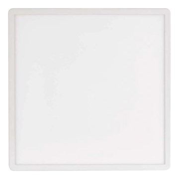 LED Griestu lampa FLORI LED/22W/230V 4000K balta 42x42 cm