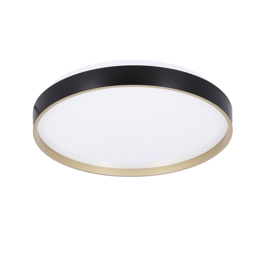 LED Griestu lampa FLORIDA LED/18W/230V melna