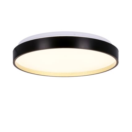 LED Griestu lampa FLORIDA LED/18W/230V melna