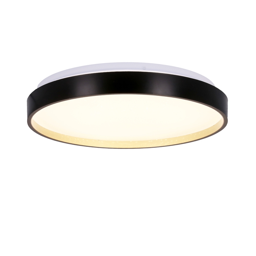 LED Griestu lampa FLORIDA LED/18W/230V melna