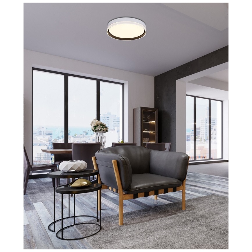LED Griestu lampa FLORIDA LED/24W/230V balta