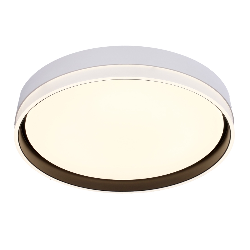 LED Griestu lampa FLORIDA LED/24W/230V balta
