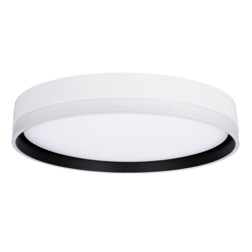 LED Griestu lampa FLORIDA LED/24W/230V balta